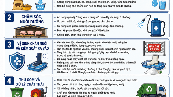 XÃ CÔNG SƠN TIẾP TỤC TĂNG CƯỜNG CÔNG TÁC PHÒNG, CHỐNG BỆNH DỊCH TẢ LỢN CHÂU PHI